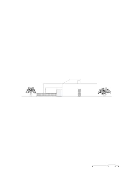 Olive House